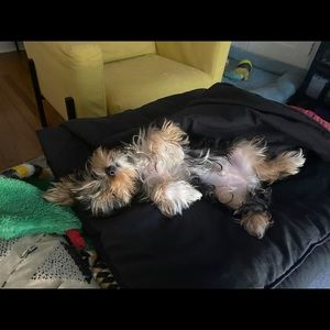 Meet your Posher, Kenneth